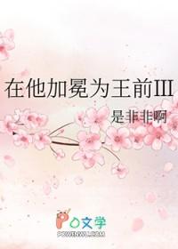 在他加冕为王前3