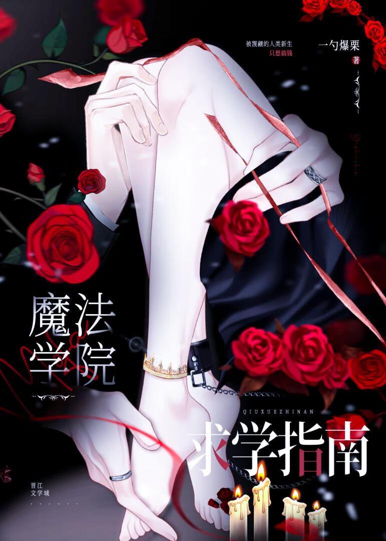 魔法学院求学指南