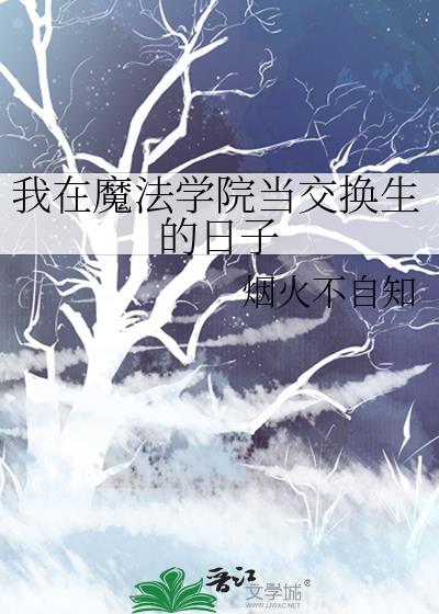 我在魔法学院当交换生的日子
