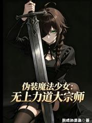 伪装魔法少女：无上力道大宗师