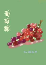 葡萄藤bg骨